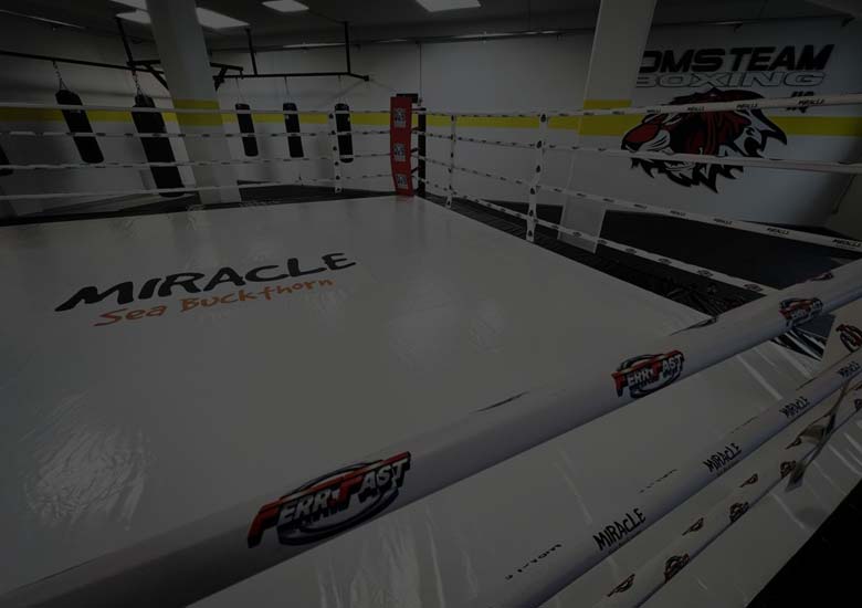 dms team boxing atmosfera pugilato torino
