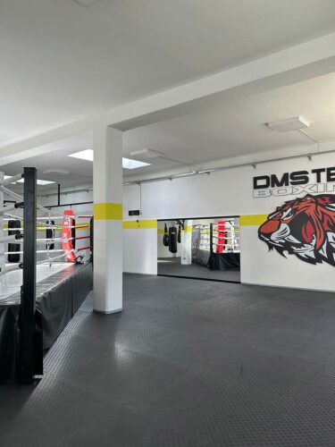 Palestra Pugilato Torino